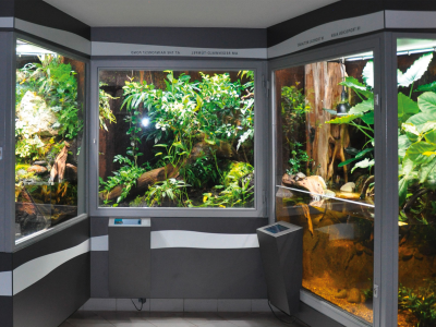 LED Beleuchtung Aquarium Süßwasser Giesemann Pulzar G3