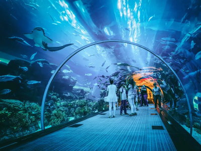 LED Beleuchtung Aquarium Meerwasser Giesemann Pulzar G3