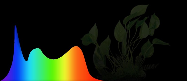 Farbspektrum tropic
